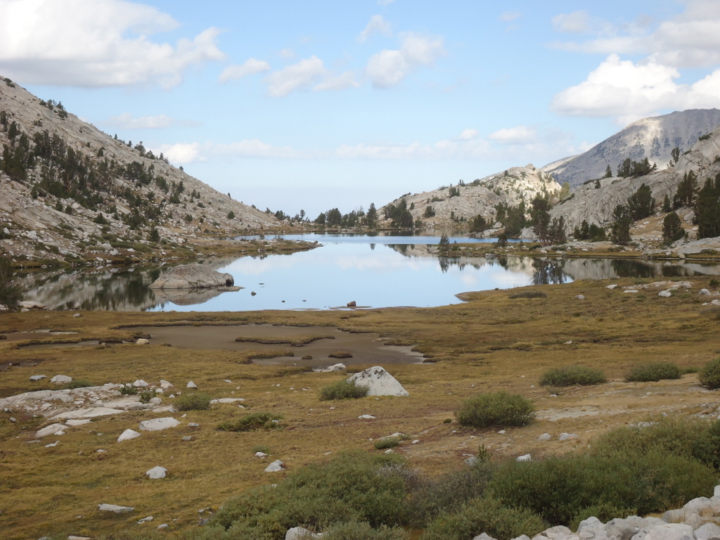 Stacks Image 194