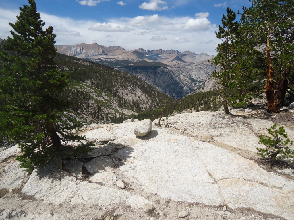 Stacks Image 43