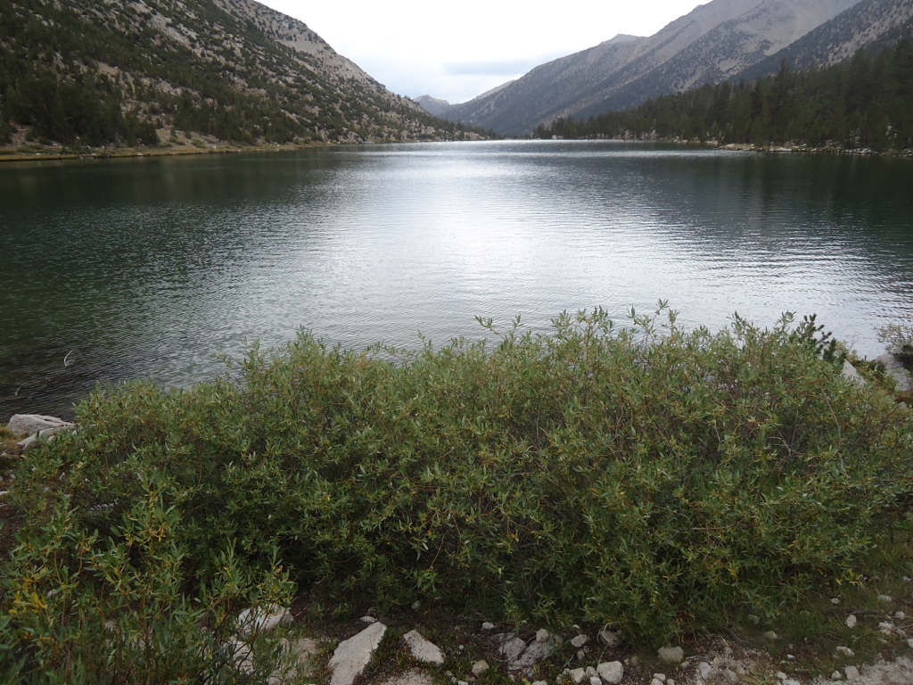 Stacks Image 64