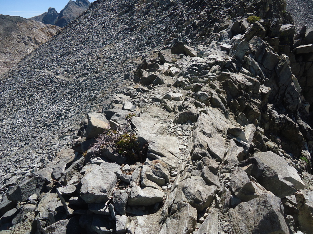 Stacks Image 68