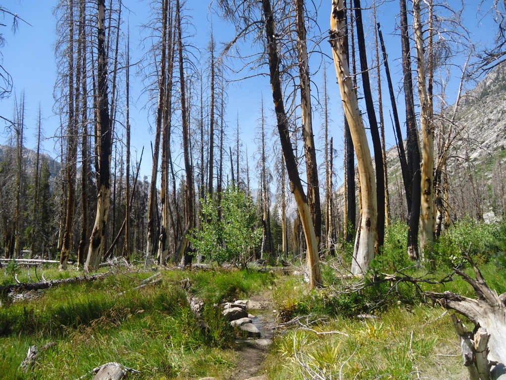 Stacks Image 138