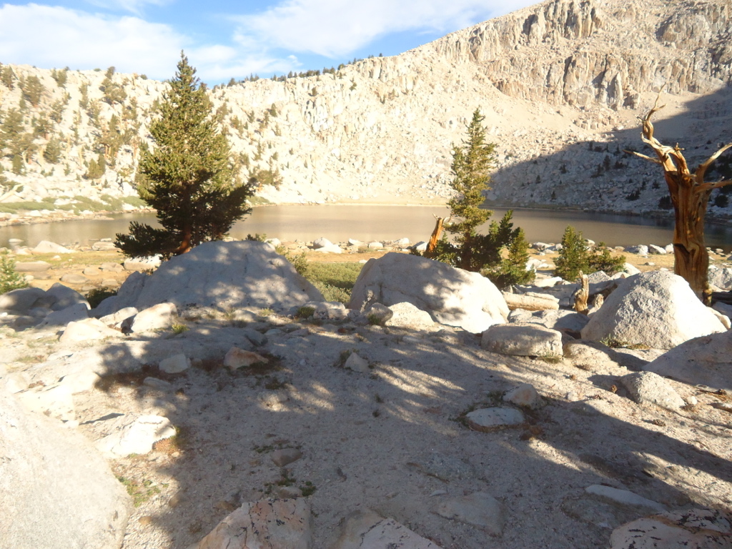 Stacks Image 19